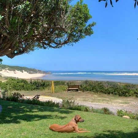 Milkwood Manor B & B Kenton on Sea Ngoại thất bức ảnh